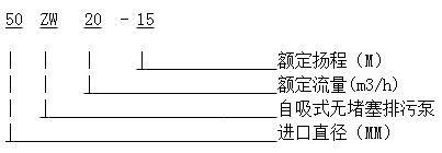 ZW自吸排污泵 无堵塞自吸式排污泵 ZW(图1)